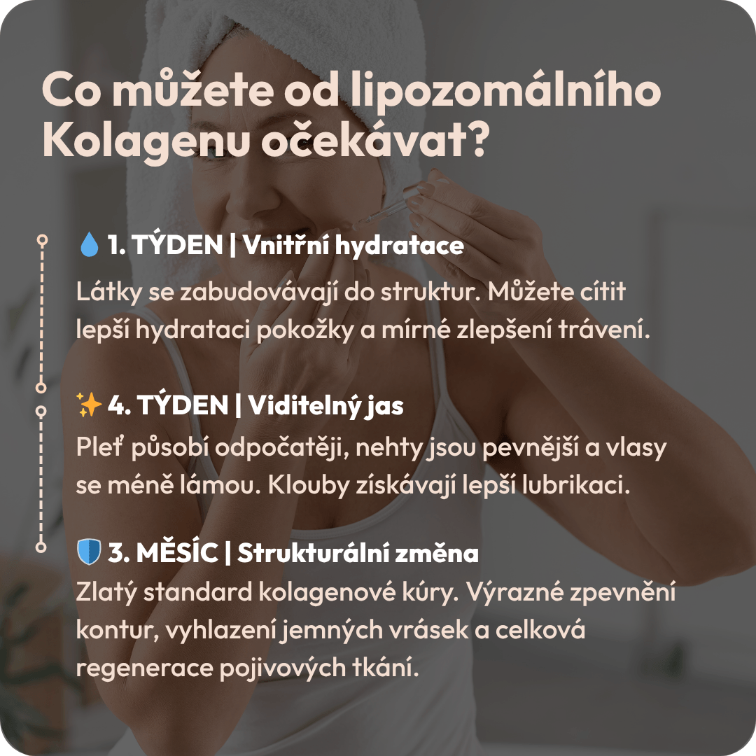 Kolagen 6 CZ